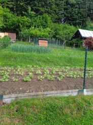 Na predaj: Slnečná záhrada v Čadci – časť Bukov (333 m²)
